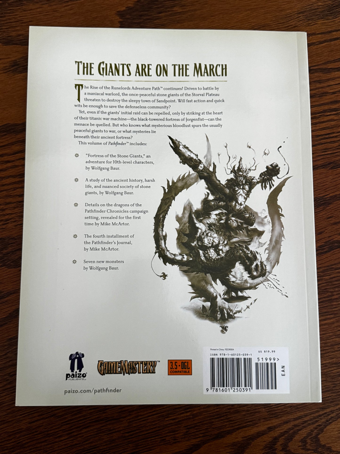 Dungeons & Dragons: Pathfinders-Fortress of the Stone Giants (4 of 6)